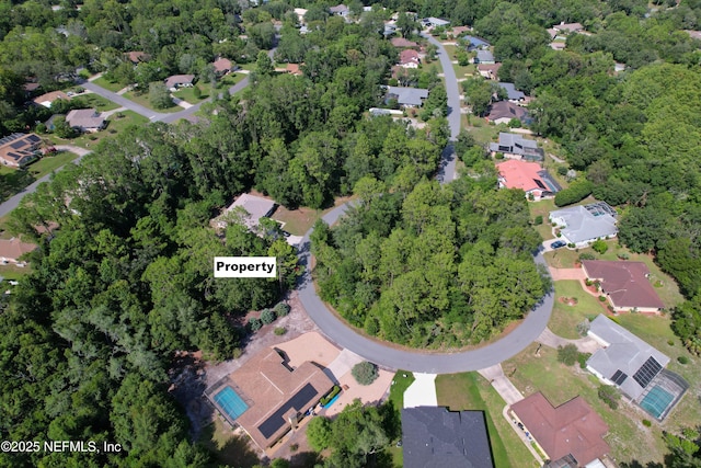 30 Wild Olive Ct, Homosassa, FL 34446 - photo 5