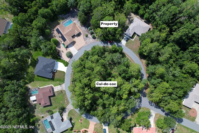 30 Wild Olive Ct, Homosassa, FL 34446 - photo 7