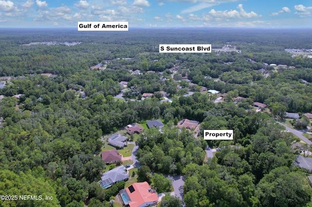 30 Wild Olive Ct, Homosassa, FL 34446 - photo 8