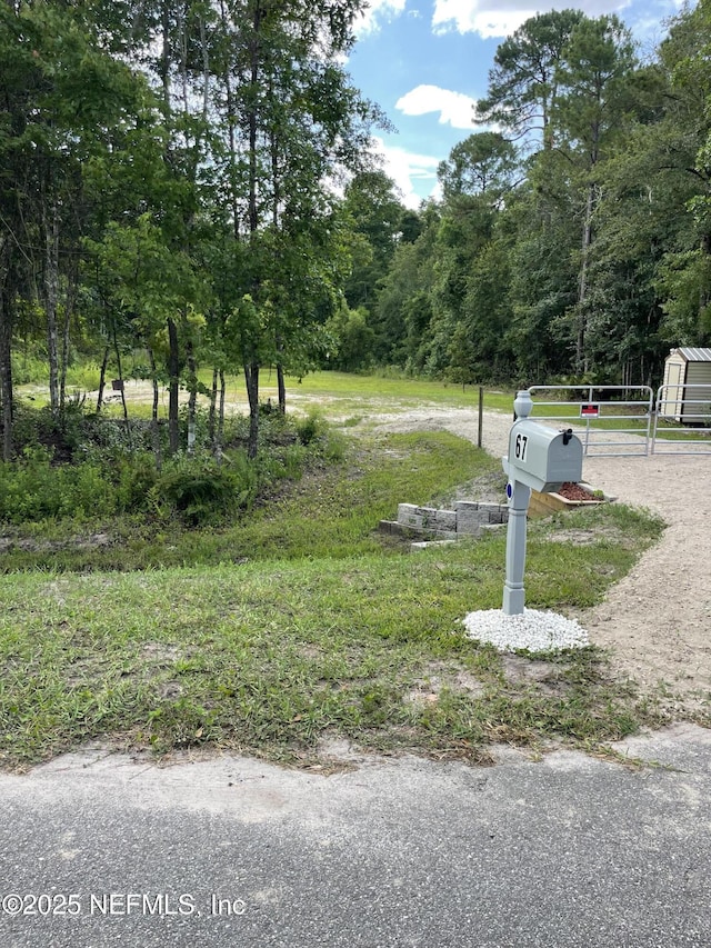67 Orchid Ave, Middleburg, FL 32068 - photo 3