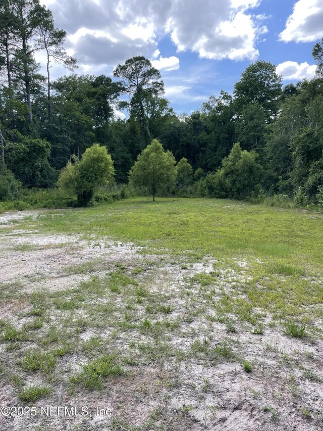 67 Orchid Ave, Middleburg, FL 32068 - photo 5