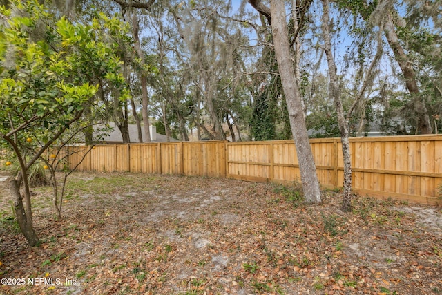 2205 Ashley Ct, Fernandina Beach, FL 32034 - view of fenced backyard