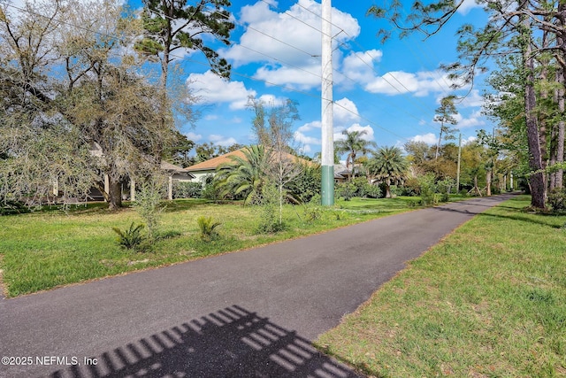 2205 Ashley Ct, Fernandina Beach, FL 32034 - view of street