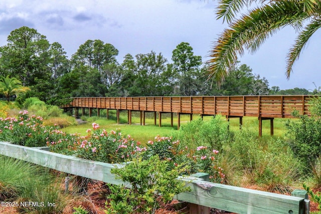 2205 Ashley Ct, Fernandina Beach, FL 32034 - view of yard