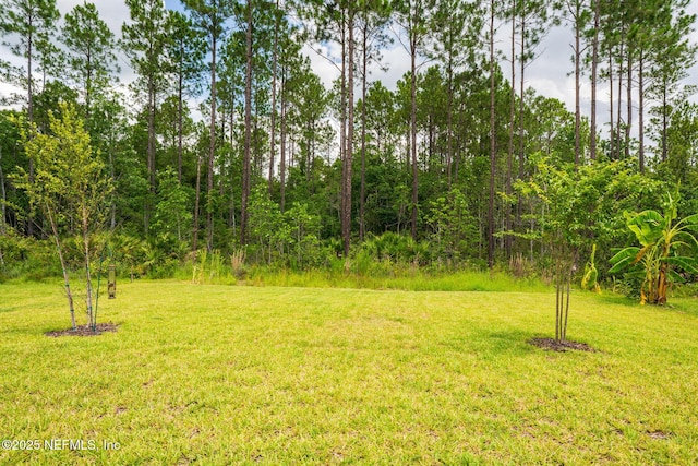126 Holly Landing Way, Saint Augustine, FL 32092 - photo 36