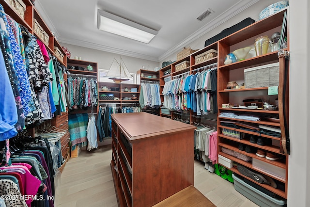 23 Corona Rd, Ponte Vedra Beach, FL 32082 - spacious closet with light wood-style floors
