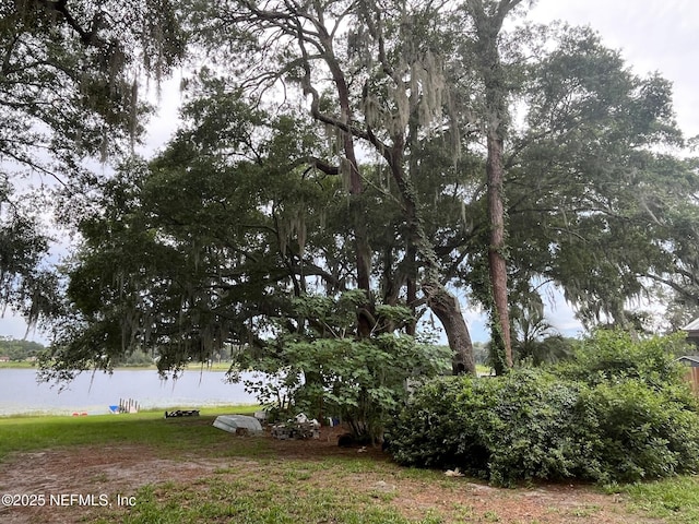 7861 State Road 21, Keystone Heights, FL 32656 - photo 11