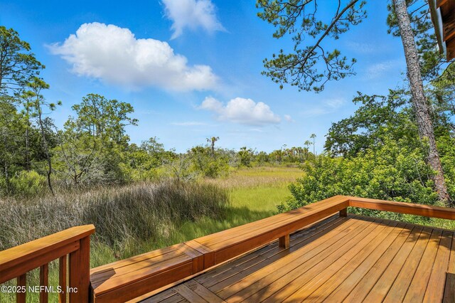 1932 Green Heron Pt, Jacksonville Beach, FL 32250 - photo 35
