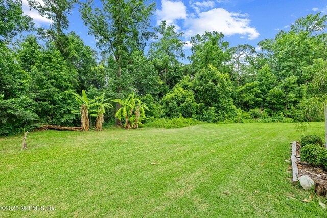 8971 Rockpond Meadows Dr, Jacksonville, FL 32221 - photo 46
