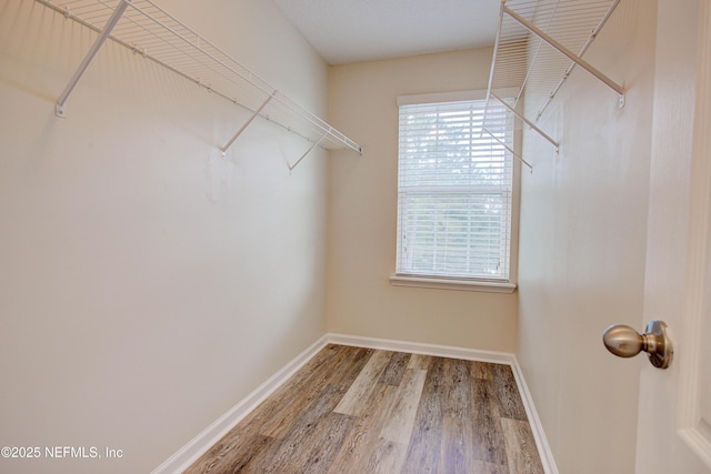 417 Oasis Ln # 3B, Orange Park, FL 32073 - photo 15