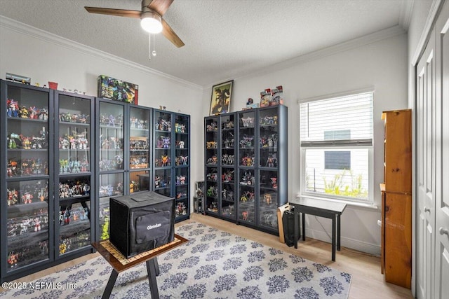 75013 Pondside Ln, Yulee, FL 32097 - office with a ceiling fan, wood finished floors, a wood stove, a textured ceiling, and crown molding