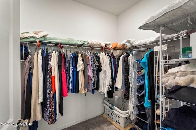 75013 Pondside Ln, Yulee, FL 32097 - spacious closet featuring carpet