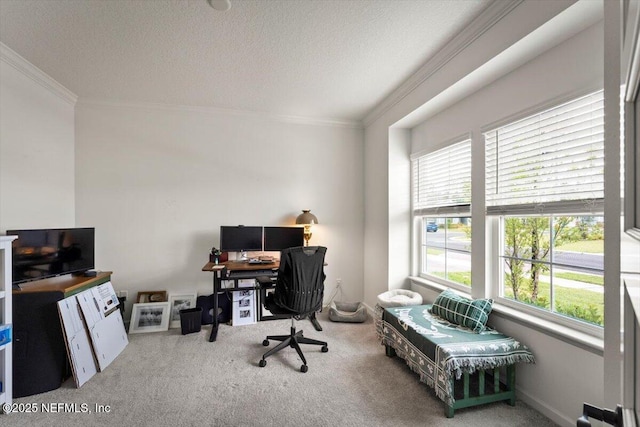 75013 Pondside Ln, Yulee, FL 32097 - office featuring carpet floors, crown molding, and a textured ceiling