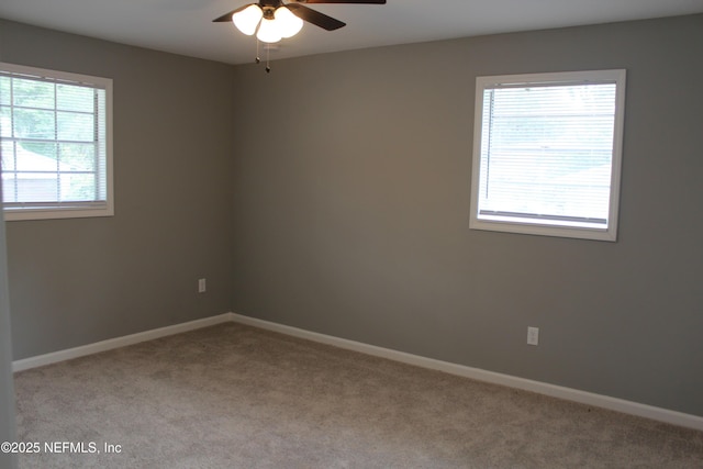 435 Taurus Ln, Orange Park, FL 32073 - photo 21