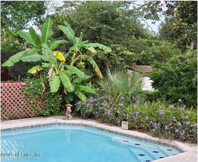 435 Taurus Ln, Orange Park, FL 32073 - photo 32