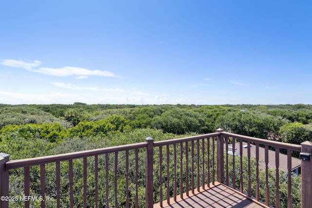 2058 Beach Ave, Atlantic Beach, FL 32233 - photo 48
