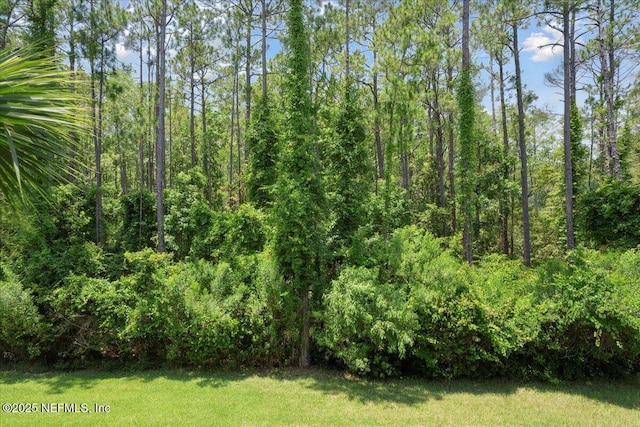 46 Falling Water Ct, Ponte Vedra, FL 32081 - photo 44
