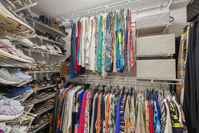 1208 Kyle Way S, Saint Johns, FL 32259 - view of spacious closet