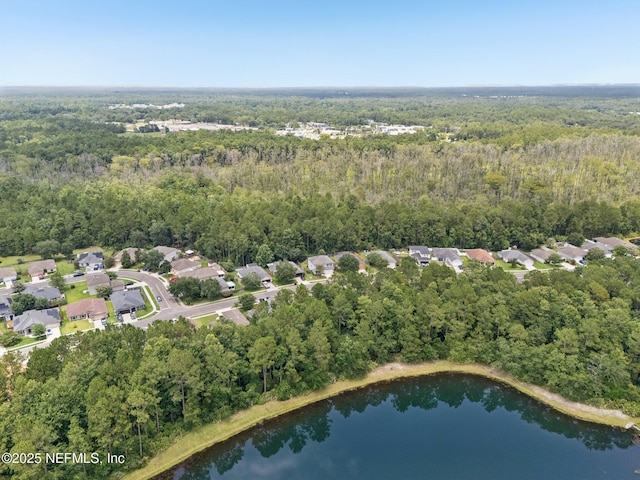 86163 Venetian Ave, Yulee, FL 32097 - photo 56