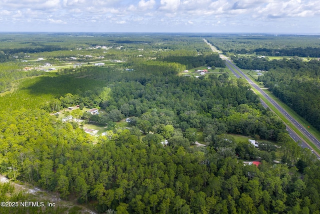 935 Little Pond Rd, Green Cove Springs, FL 32043 - photo 49