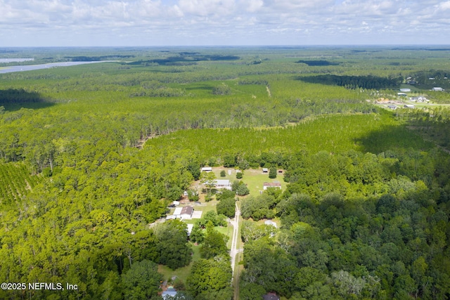 935 Little Pond Rd, Green Cove Springs, FL 32043 - photo 50