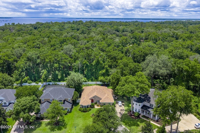 14818 Ingle Ct, Jacksonville, FL 32223 - photo 53