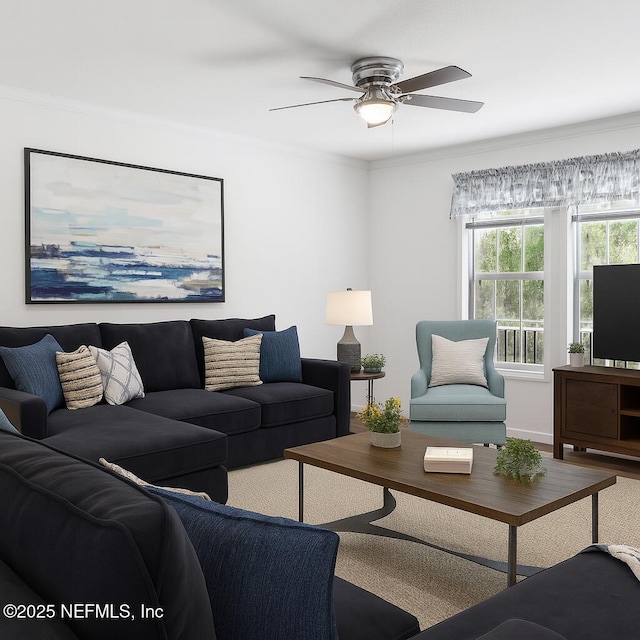 2254 Stauffer Rd, Green Cove Springs, FL 32043 - living room with a ceiling fan, crown molding, and wood finished floors