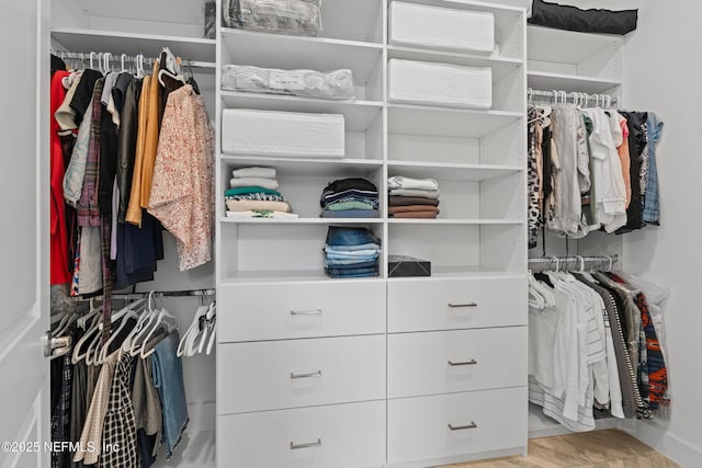 985 Rustic Mill Dr, Saint Augustine, FL 32092 - view of walk in closet