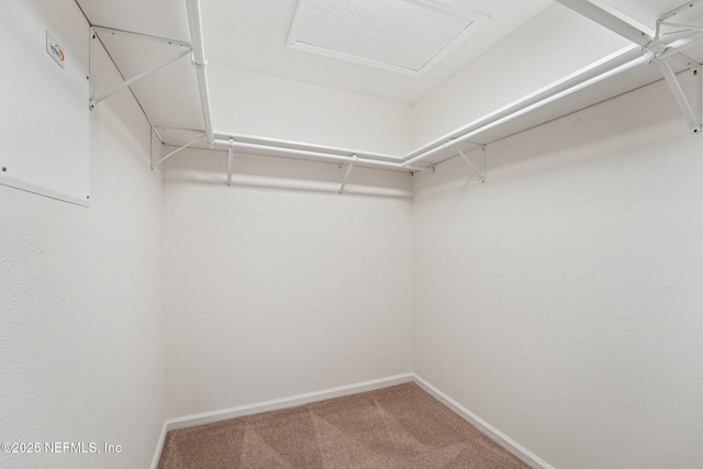 3905 Buckthorne Dr Unit D, Orange Park, FL 32065 - spacious closet featuring carpet