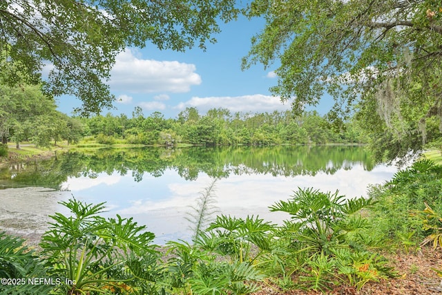 3905 Buckthorne Dr Unit D, Orange Park, FL 32065 - water view