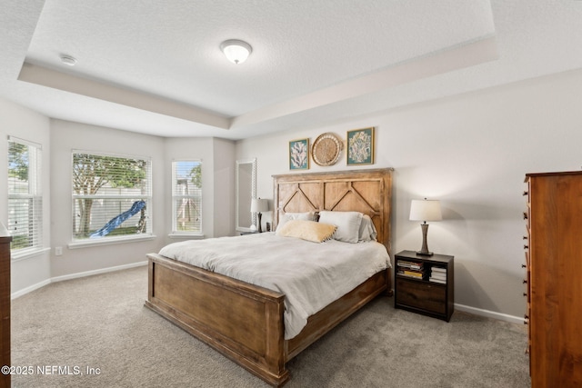 95212 Tanglewood Dr, Fernandina Beach, FL 32034 - bedroom with a tray ceiling, carpet flooring, multiple windows, and a textured ceiling