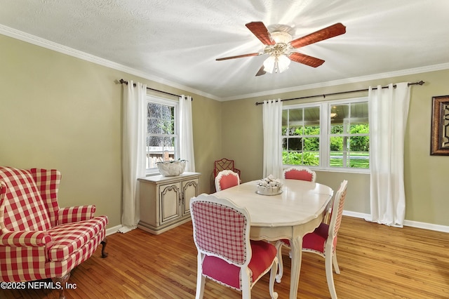 3425 Doctors Lake Dr, Orange Park, FL 32073 - photo 16