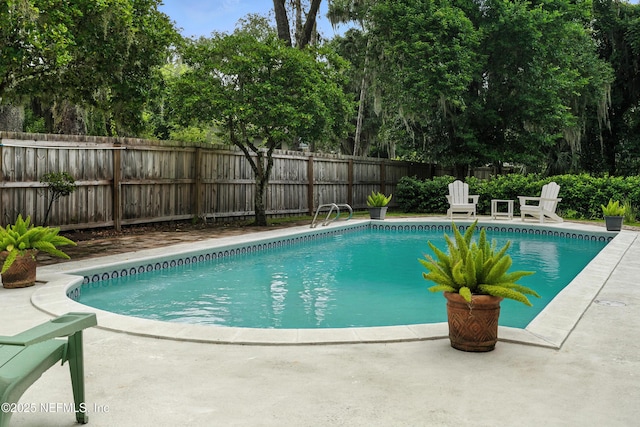 3425 Doctors Lake Dr, Orange Park, FL 32073 - photo 44
