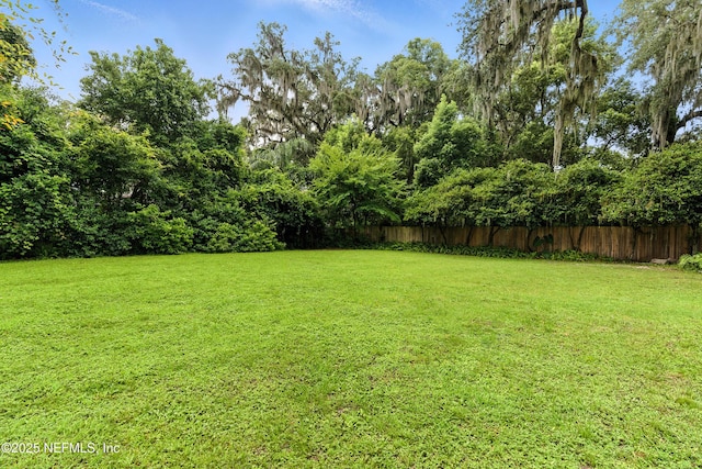 3425 Doctors Lake Dr, Orange Park, FL 32073 - photo 46