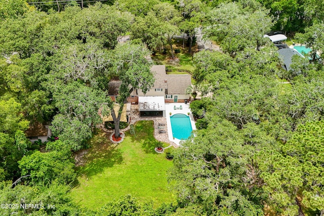 3425 Doctors Lake Dr, Orange Park, FL 32073 - photo 53
