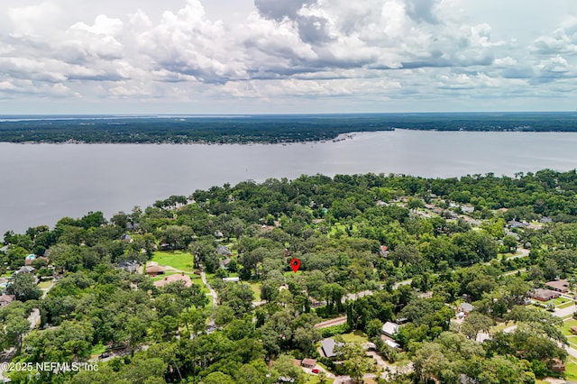 3425 Doctors Lake Dr, Orange Park, FL 32073 - photo 56