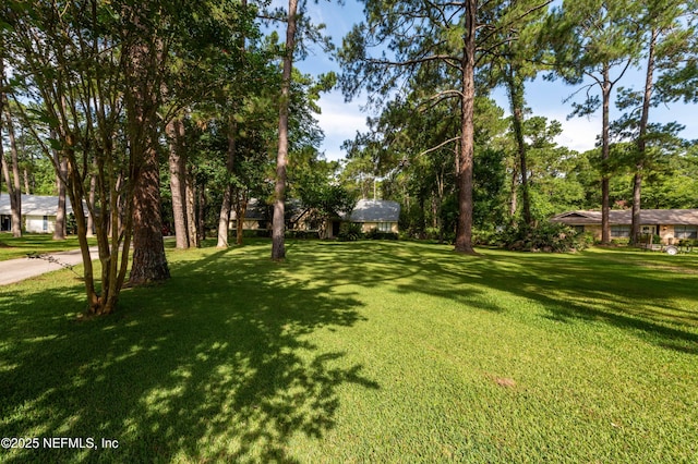 17252 Holmes Mill Ave, Jacksonville, FL 32226 - photo 3