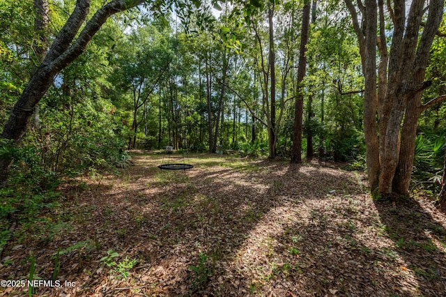 17252 Holmes Mill Ave, Jacksonville, FL 32226 - photo 6