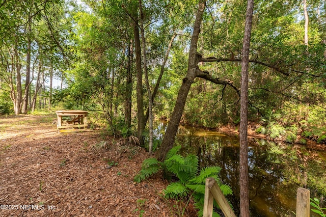 17252 Holmes Mill Ave, Jacksonville, FL 32226 - photo 5