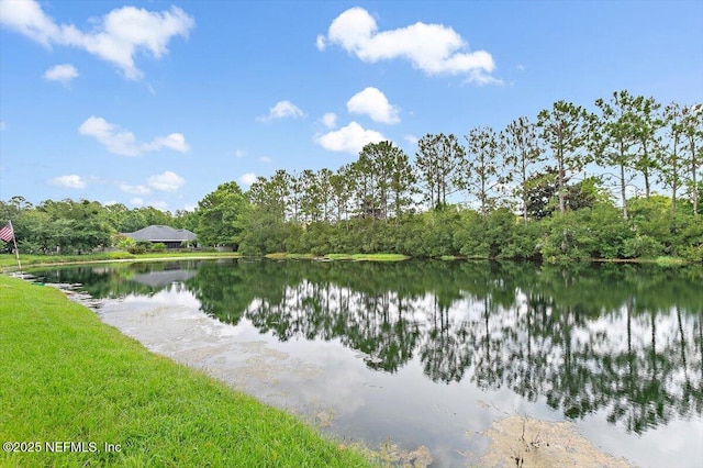 320 Carolina Jasmine Ln, Saint Johns, FL 32259 - photo 20