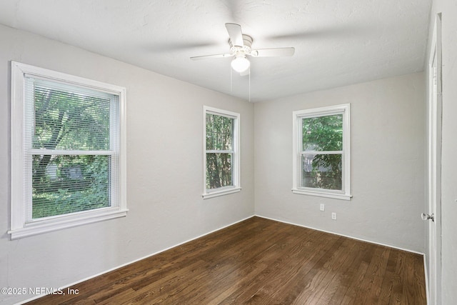 5148 San Juan Ave, Jacksonville, FL 32210 - photo 12