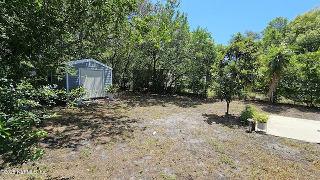 1319 Hickory St, Fernandina Beach, FL 32034 - view of yard with a shed
