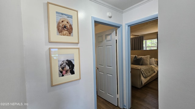1319 Hickory St, Fernandina Beach, FL 32034 - hallway with dark wood-style flooring and ornamental molding