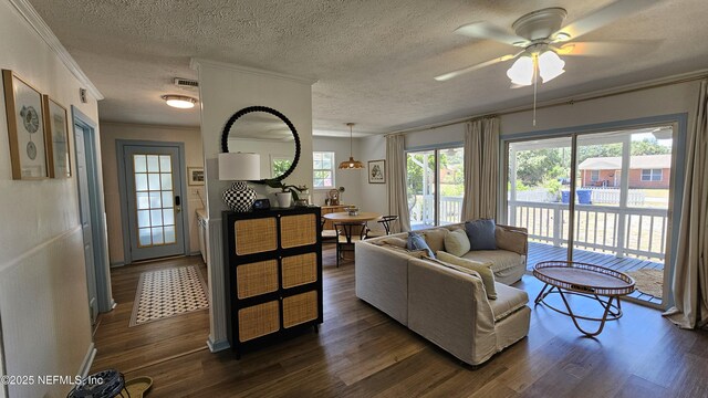 1319 Hickory St, Fernandina Beach, FL 32034 - living area with crown molding, dark wood-style flooring, ceiling fan, plenty of natural light, and a textured ceiling