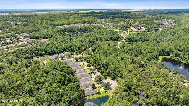 46 Pebble Lake Ln, Ponte Vedra, FL 32081 - photo 46