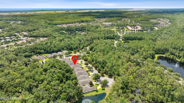 46 Pebble Lake Ln, Ponte Vedra, FL 32081 - photo 47