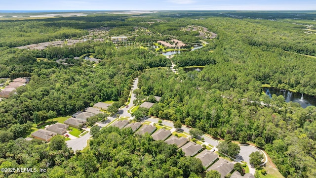 46 Pebble Lake Ln, Ponte Vedra, FL 32081 - photo 48