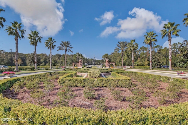 46 Pebble Lake Ln, Ponte Vedra, FL 32081 - photo 66