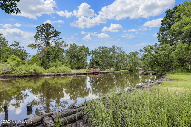 10524 Rutgers Rd, Jacksonville, FL 32218 - photo 3