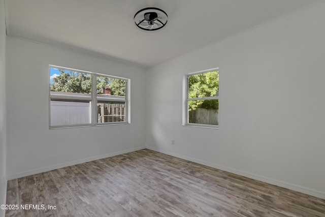 10524 Rutgers Rd, Jacksonville, FL 32218 - photo 31